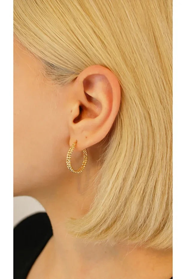 14 Carat Gold Dorika Single Color Hoop Earrings